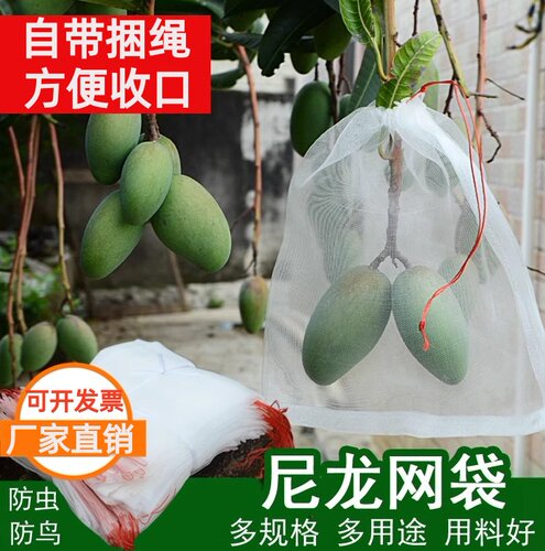 防虫袋瓜果滤网尼龙葡萄