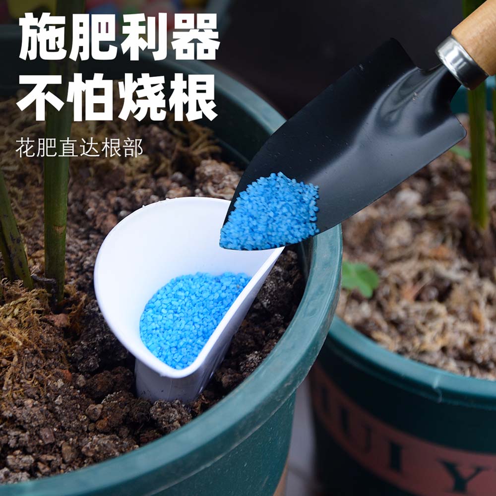锥形浇水器施肥器玉肥盒肥料盒花盆植物防烂根神器不闷根园林用品