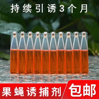 果蝇引诱剂瓜果实蝇诱捕器杀虫药水灭针锋药桔小实蝇针锋诱蝇神器