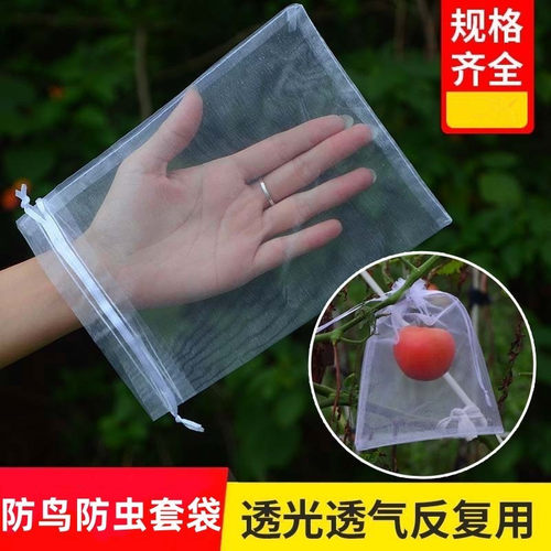 水果套袋防鸟防虫专用袋西红柿番茄葡萄草莓无花果网套袋保护袋子