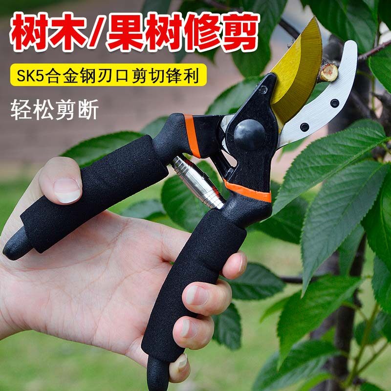 剪枝剪刀园林花艺修剪树枝剪刀果树剪刀粗大花剪园艺剪子专用工具