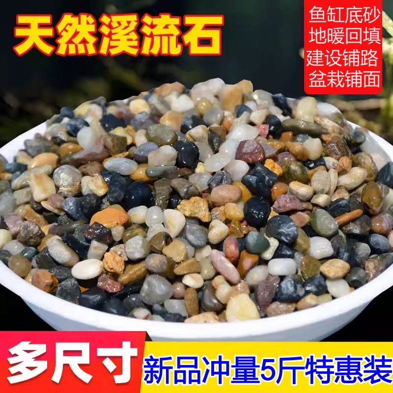 天然河沙溪流沙鹅卵石原生水族鱼缸水草缸多肉铺面小石子过滤豆石,宠物/宠物食品及用品,造景/装饰,淘宝优惠券,粉丝福利购,淘宝优惠卷