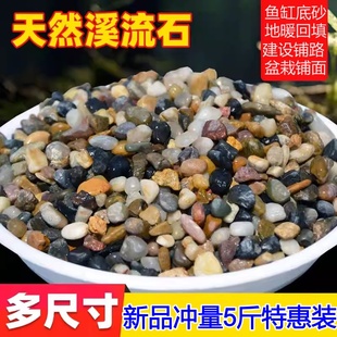 天然河沙溪流沙鹅卵石原生水族鱼缸水草缸多肉铺面小石子过滤豆石