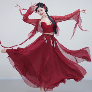 古典舞蹈服仙气飘飘练功服中国舞身韵纱衣民族舞宽松纱裙演出服