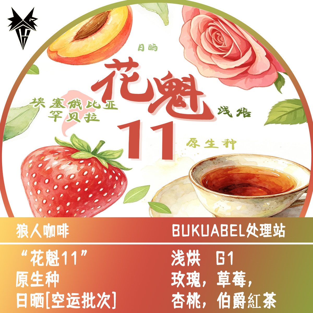 狼人咖啡新品 埃塞俄比亚 空运批次 花魁11 全直火烘焙