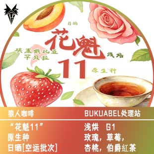 狼人咖啡新品 埃塞俄比亚 空运批次 花魁11 全直火烘焙