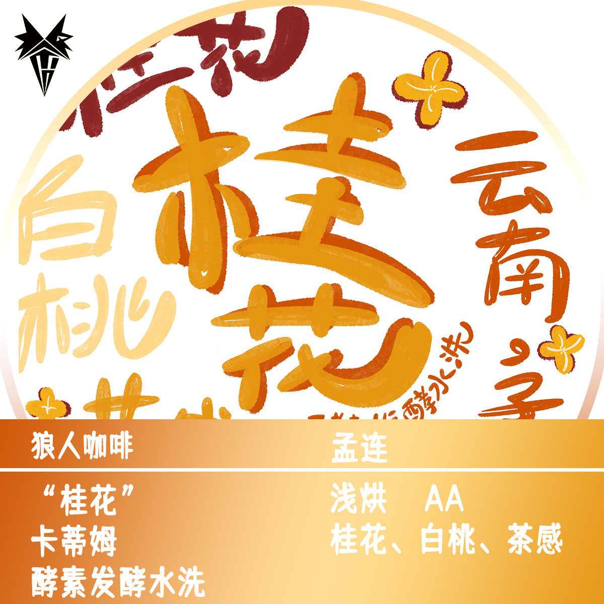 狼人咖啡新品云南咖啡豆酵素水洗处理桂花茶感白桃全直火烘焙