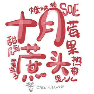 狼人咖啡 埃塞俄比亚SOE 咖啡豆454g装 十月蔗头