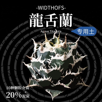 龙舌兰专用土！WOS块根潮流植物美学进口泥炭透气80%颗粒土控养