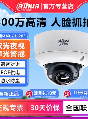 大华人脸识别摄像头400万POE高清监控DH-IPC-HDBW4443R1-YL-PV-AS