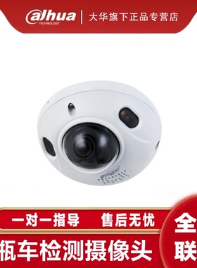 大华电梯电瓶车电动车智能检测摄像头DH-IPC-HDBW4240DF-AS-PV-DT