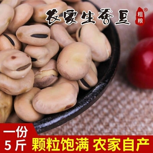 生蚕豆新鲜散装 蚕豆新鲜农家自种胡豆罗汉豆可发芽蚕豆种子5斤装