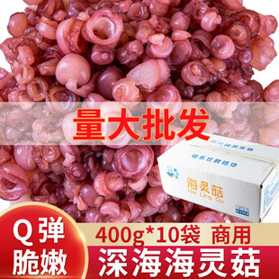 海灵菇非大号餐饮商用400g*10袋 火锅辣炒食材