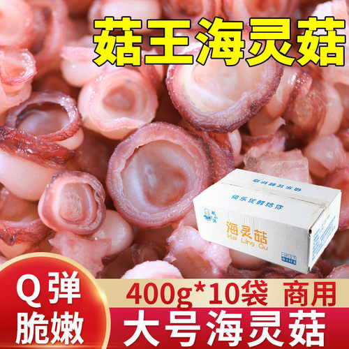 海灵菇特大超大号400gQ弹脆爽
