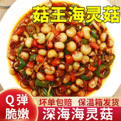 辣炒海灵菇小木屋啤酒菜400g