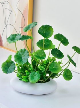 仿真绿植假花餐桌客厅摆件小盆栽