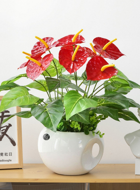 仿真花客厅室内盆栽龟背红掌摆件