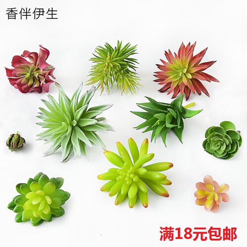 仿真花多肉植物装饰多肉摆件