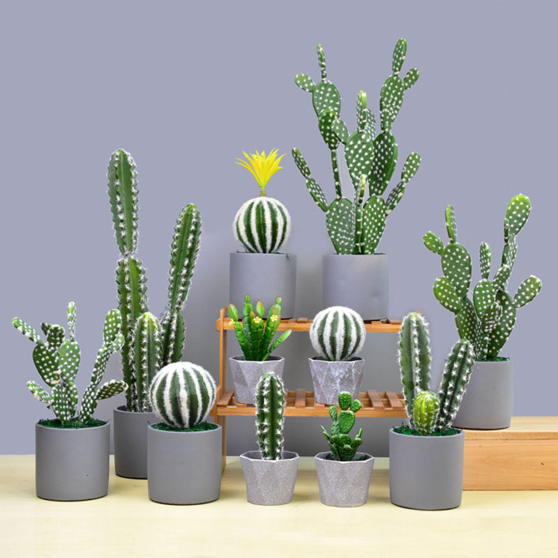创意室内桌面假花仿真绿植装饰摆件家居茶几植物盆栽仙人掌盆景