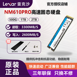 500G 雷克沙NM610 NM800PRO NM620 2T笔记本固态硬盘M.2 2280