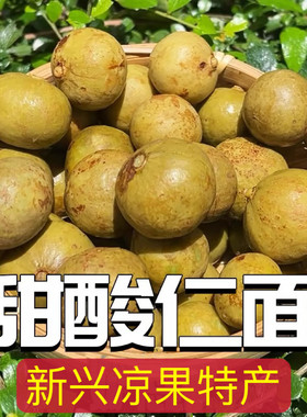 新兴凉果酸甜脆仁面果爽脆开胃酸辣湿人面果银链果仁稔果广式零食