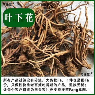 云南中药材叶下花 追风箭 叶下花根 云南叶下花500克包邮有叶上花