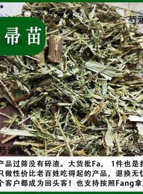 扫帚苗中药材铁扫帚铁扫把扫帚苗夜关门野鸡草马鞍叶非地肤苗