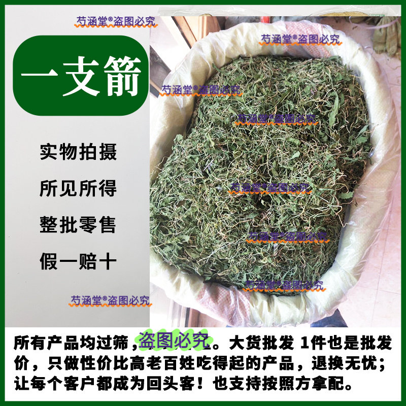 一支箭中药材新货晒干一支箭青藤蛇咬子瓶尔小草 蛇须草100克包邮