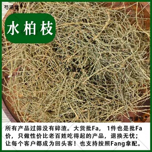 水柏枝中药材 水柏枝温步（藏名）三春水柏枝 高原中药材 500克