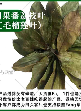 刺果番荔枝干叶子茶红毛榴莲干叶子茶Graviola叶soursop茶叶包邮