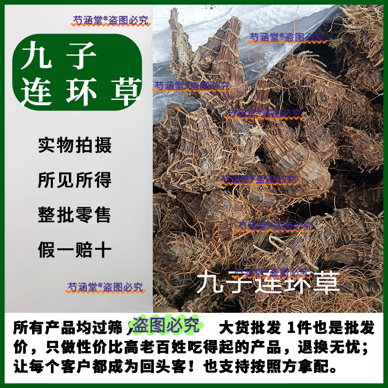 九子连环草中药材100克包邮 硬九头狮子草 珠串珠 九节草  连环草