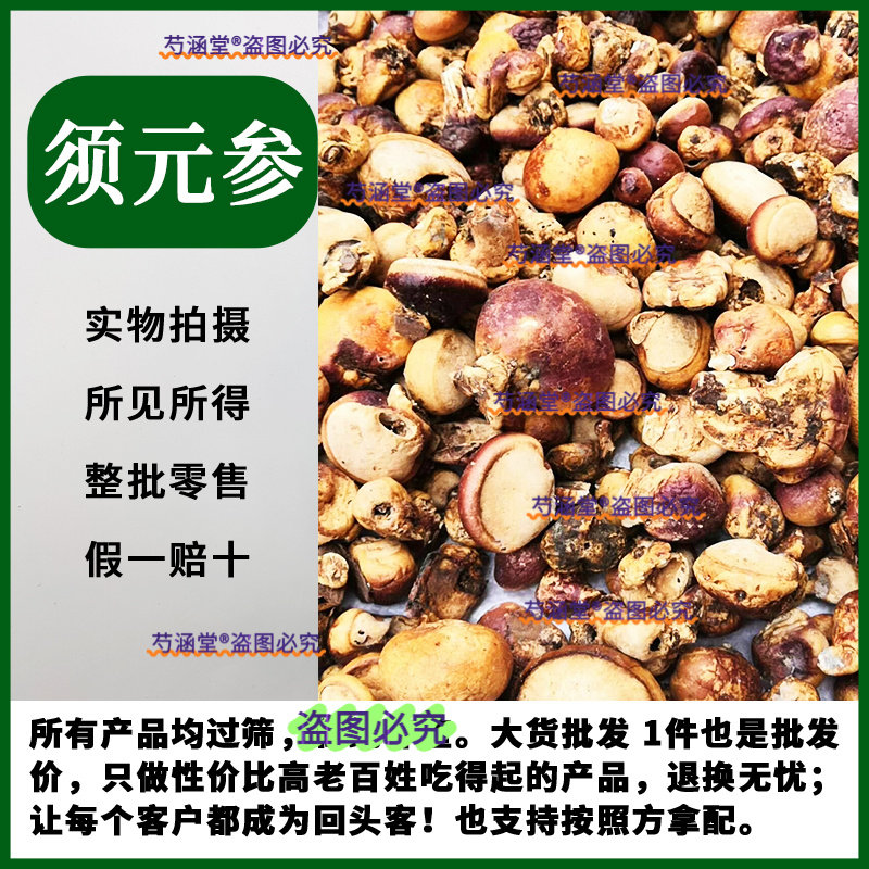 须元参野生须元果耶香豆觅阳果中药材隐孔菌无根须阳果松橄榄觅阳