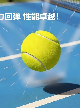ARTEMIS GRIT网球高弹力耐打橡胶专业训练成人比赛用球1.3米NEW