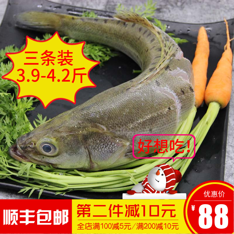 青岛硬派老王海鲜七星大鲈鱼新鲜活冷冻冰鲜海鱼三条装顺丰包邮|ruв категории водной мясо/свежие фрукты и овощи/еда, морепродукты/водные продукты/изделия, другие - от Buy2taobao.com для оказания профессиональной услуги покупки агента Taobao