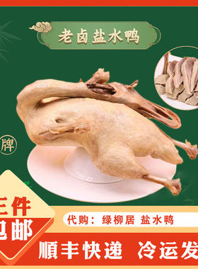 南京特产传统美食 清真 绿柳居 盐水鸭 卤味咸水鸭