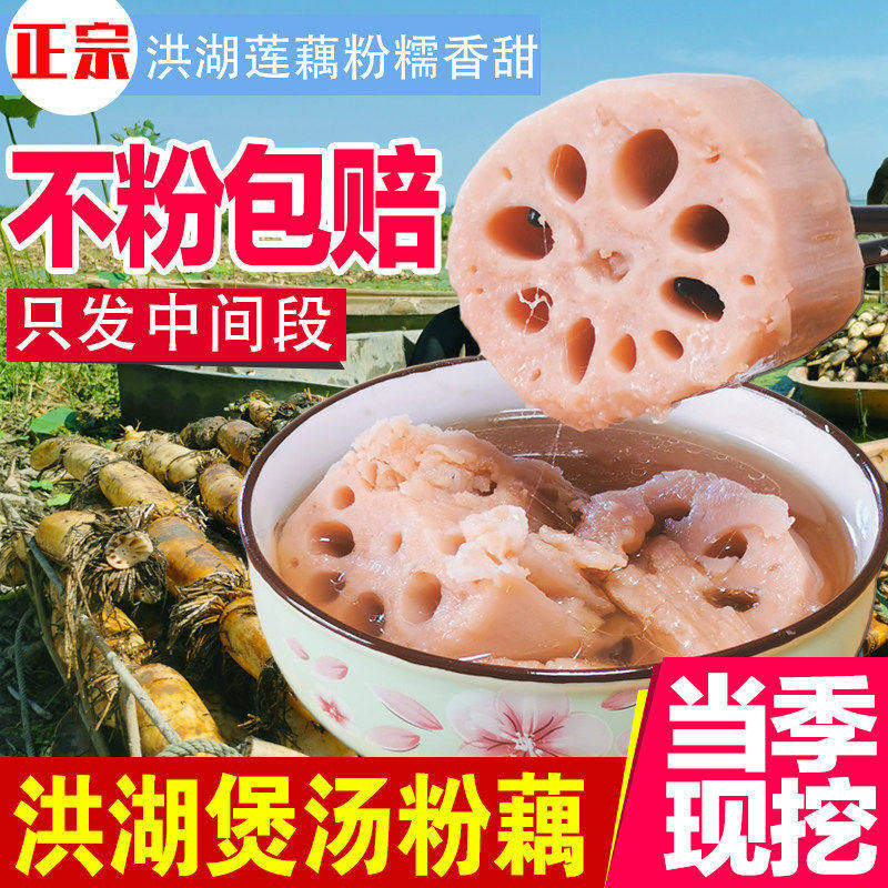 【顺丰快递】正宗湖北特产洪湖粉藕新鲜现挖糯米藕煲汤带泥九孔藕