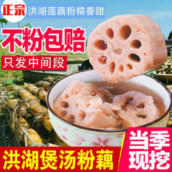 【顺丰快递】正宗湖北特产洪湖粉藕新鲜现挖糯米藕煲汤带泥九孔藕