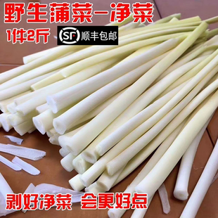 【顺丰包邮】洪湖野生茭白香蒲菜野篙菜篙草新鲜蔬菜现采现发净菜