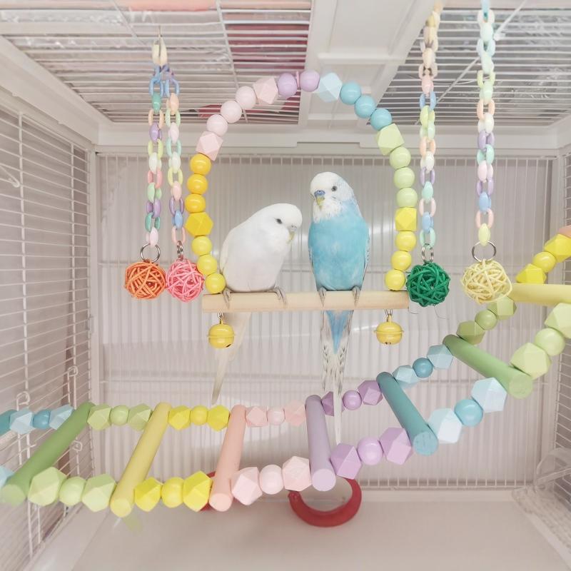 鹦鹉爬梯秋千攀爬云梯宠物鸟玩具
