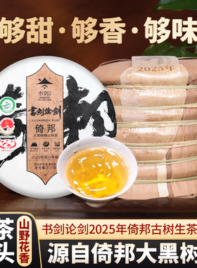 书剑2025年书剑论剑倚邦大黑树林古树春茶纯料云南普洱茶生茶