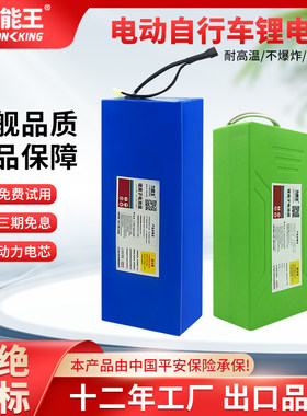 力能王48V10AH电动自行车锂电池