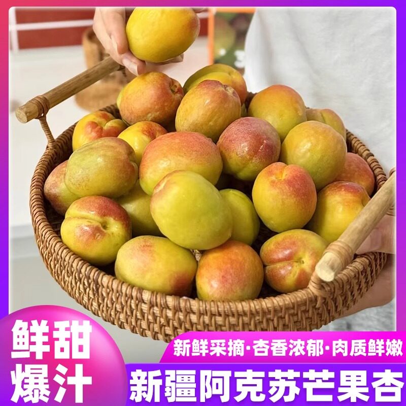 正宗特级新疆阿克苏芒果杏