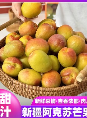 正宗特级新疆阿克苏芒果杏当季新鲜现摘现发贵妃胭脂水果顺丰包邮