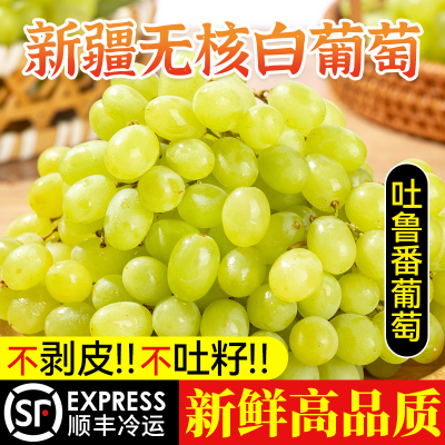 正宗特级新疆吐鲁番无核白葡萄