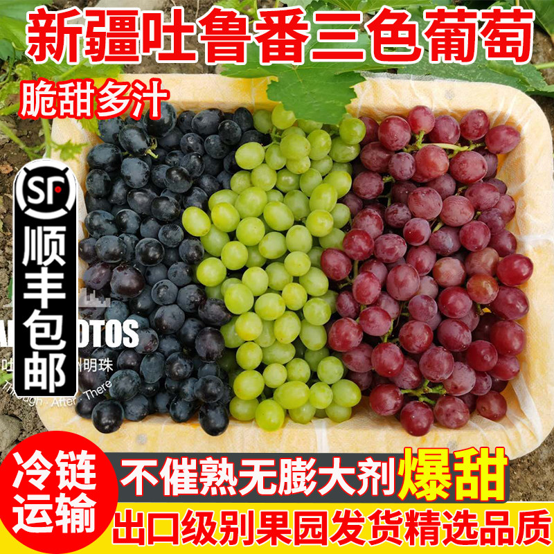 新疆葡萄新鲜当季水果三色葡萄