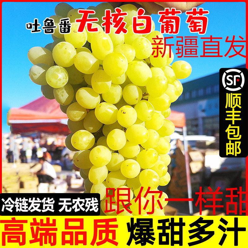 新疆特产吐鲁番无核白自然熟葡萄