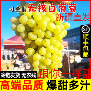 新疆特产吐鲁番无核白自然熟葡萄