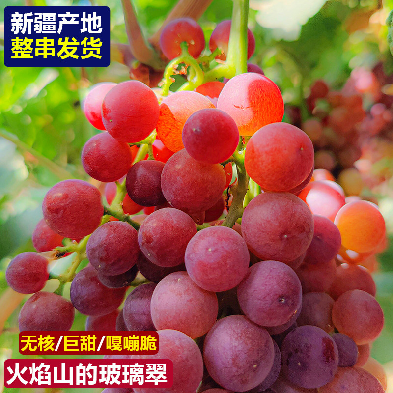 新疆玻璃翠葡萄新鲜无籽火焰葡萄