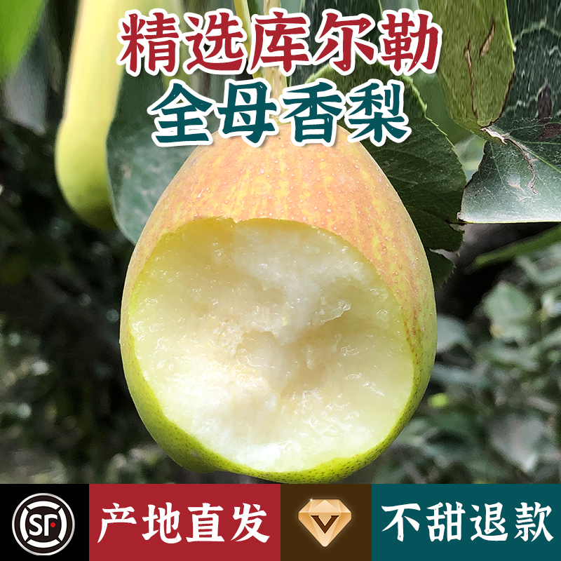 新疆新鲜水果库尔勒香梨应季特产