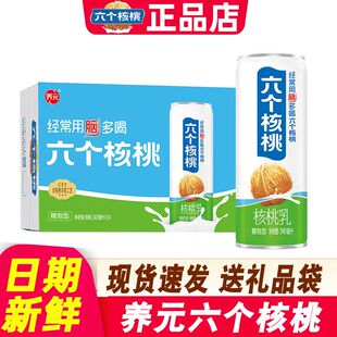 养元六个核桃整箱24罐精制型20罐核桃乳6个核桃非官方正品旗舰